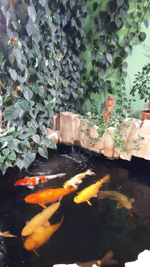 Apartman Koi Daire Veltrusy Dış mekan fotoğraf